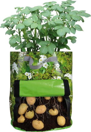 Zelená pěstírna brambor Esschert Design